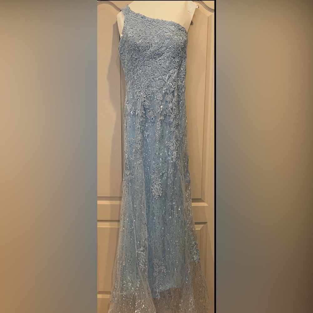 ASHLEY LAUREN ASLA STYLE#11334 PROM/FORMAL/PAGEANT DRESS - Picture 5 of 14